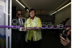 ELECCIONES.  ANA TERE ARANDA 