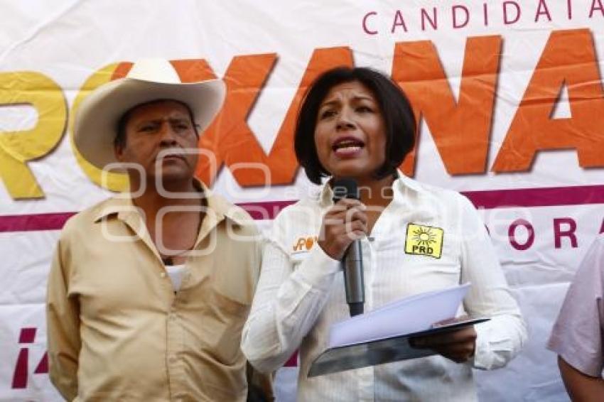 ELECCIONES . ROXANA LUNA . CONGRESO