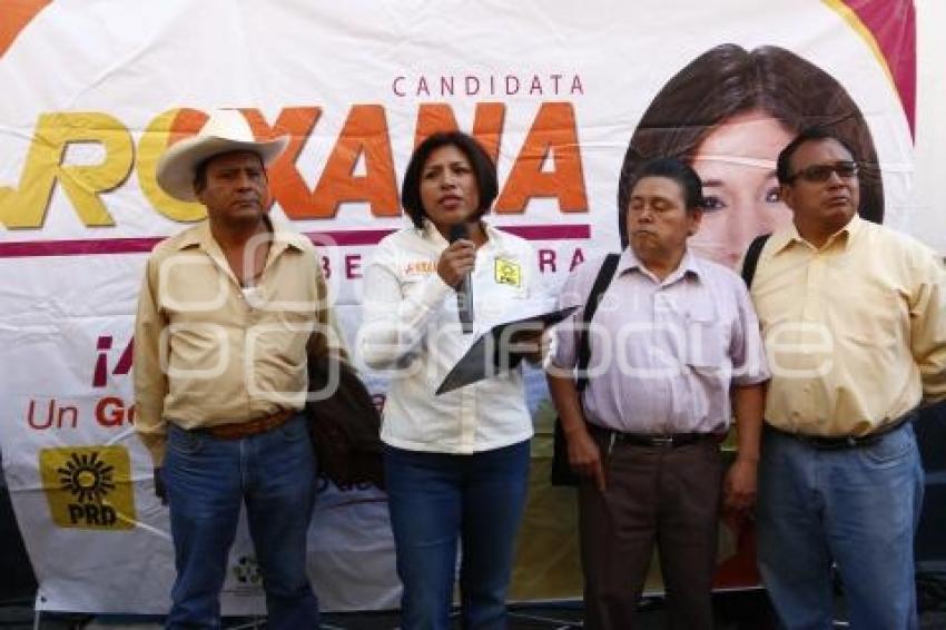 ELECCIONES . ROXANA LUNA . CONGRESO