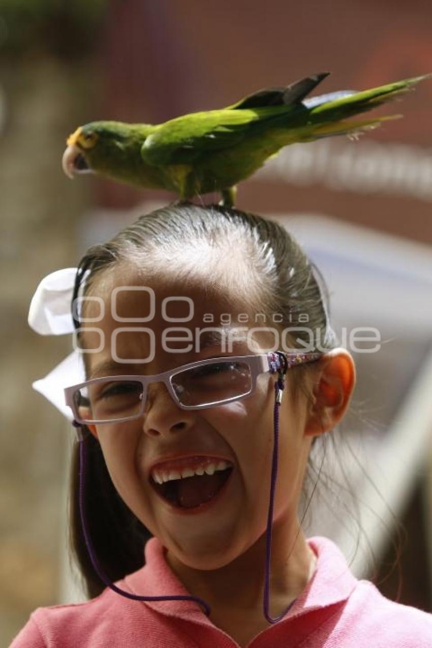 30 DE ABRIL . DIA DEL NIÑO