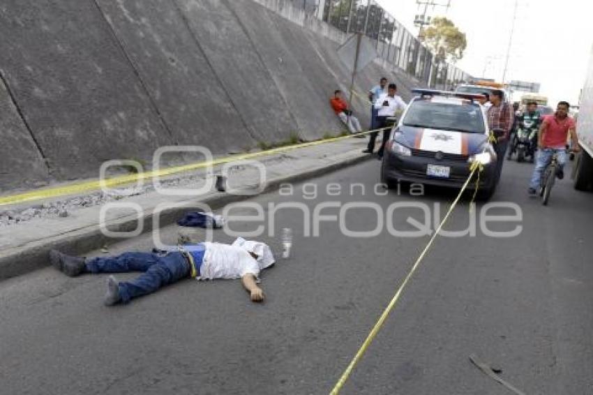 NOTA ROJA . ATROPELLADO PARQUE FINSA 