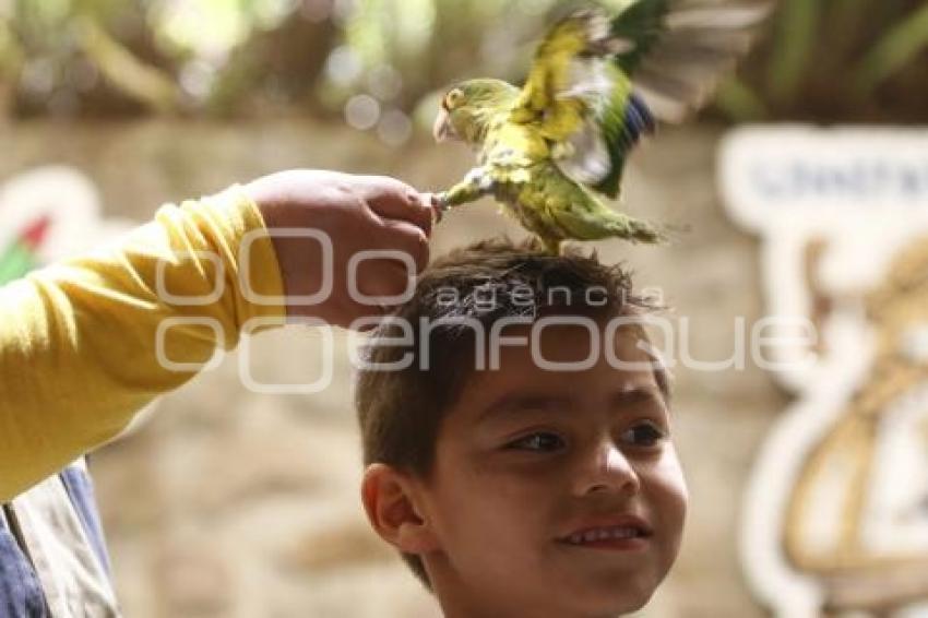 30 DE ABRIL . DIA DEL NIÑO