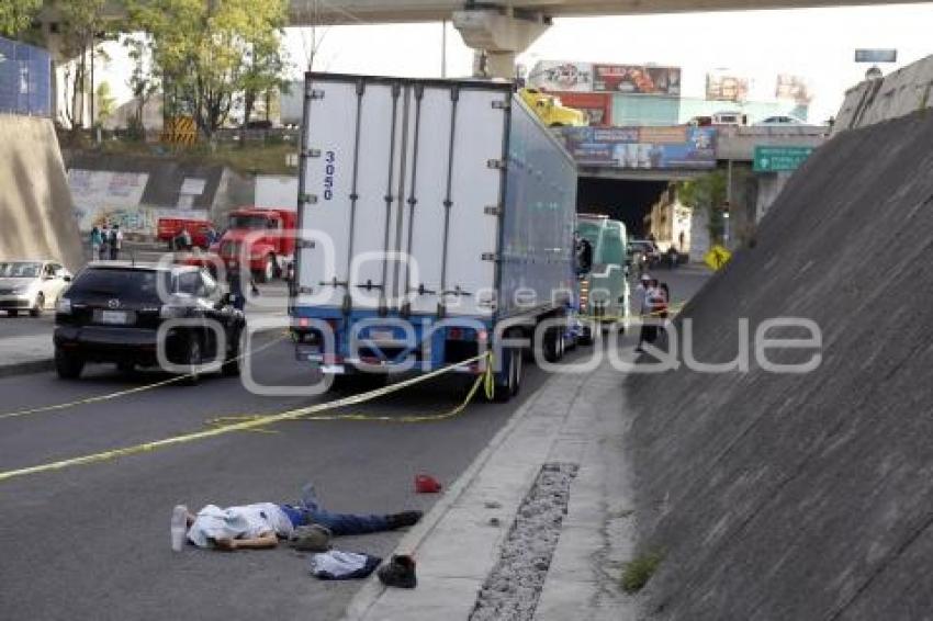 NOTA ROJA . ATROPELLADO PARQUE FINSA
