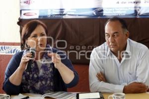 ELECCIONES . ANA TERESA ARANDA