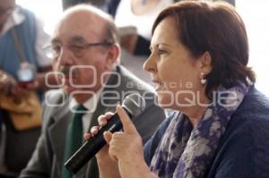 ELECCIONES . ANA TERESA ARANDA