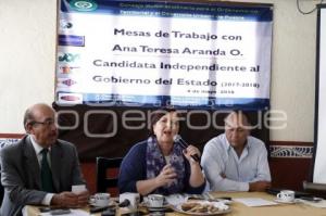 ELECCIONES . ANA TERESA ARANDA