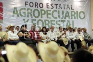 ELECCIONES . BLANCA ALCALÁ . FORO AGROPECUARIO