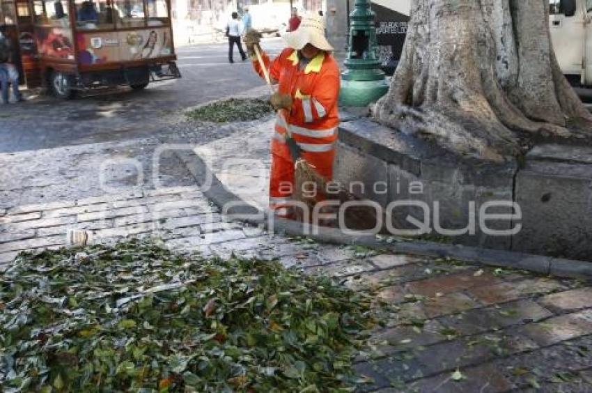 SERVICIO DE LIMPIA . BARRENDEROS