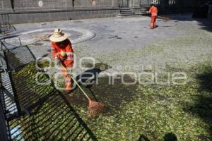 SERVICIO DE LIMPIA . BARRENDEROS