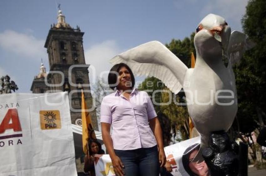 ELECCIONES . ROXANA LUNA