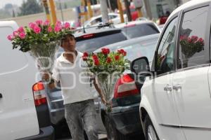 DÍA DE LAS MADRES . FLORES