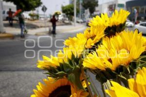 DÍA DE LAS MADRES . FLORES