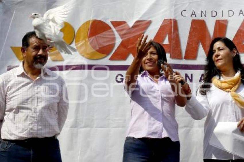 ELECCIONES . ROXANA LUNA