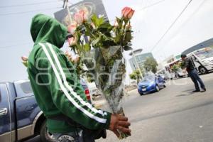 DÍA DE LAS MADRES . FLORES