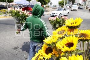 DÍA DE LAS MADRES . FLORES