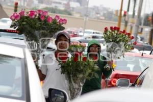 DÍA DE LAS MADRES . FLORES