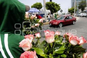 DÍA DE LAS MADRES . FLORES