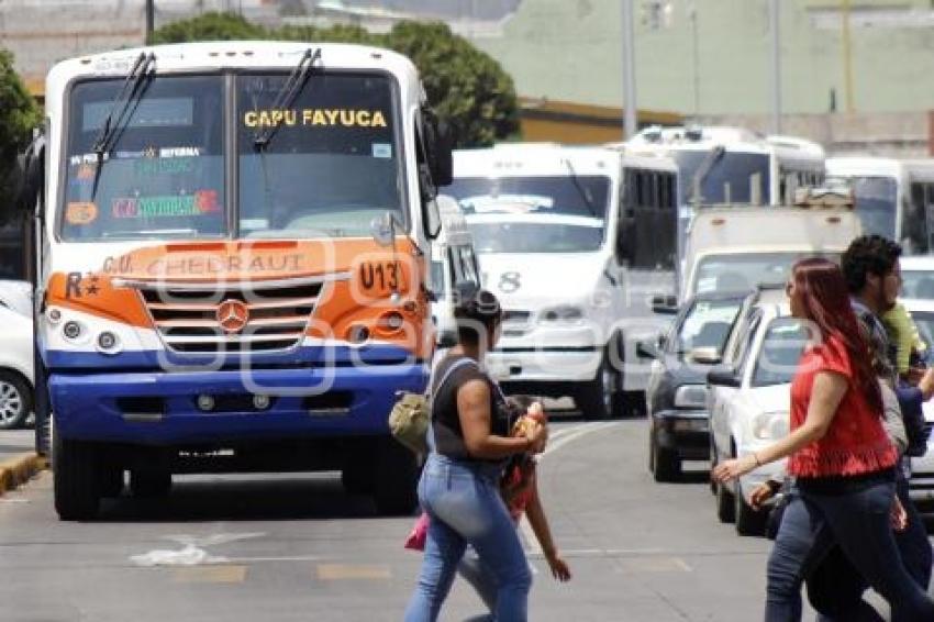 TRANSPORTE PÚBLICO