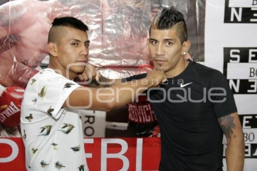FUNCIÓN DE BOX CASTA DE CAMPEONES