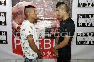 FUNCIÓN DE BOX CASTA DE CAMPEONES