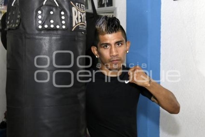 FUNCIÓN DE BOX CASTA DE CAMPEONES