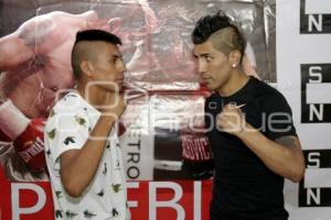 FUNCIÓN DE BOX CASTA DE CAMPEONES