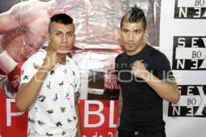 FUNCIÓN DE BOX CASTA DE CAMPEONES