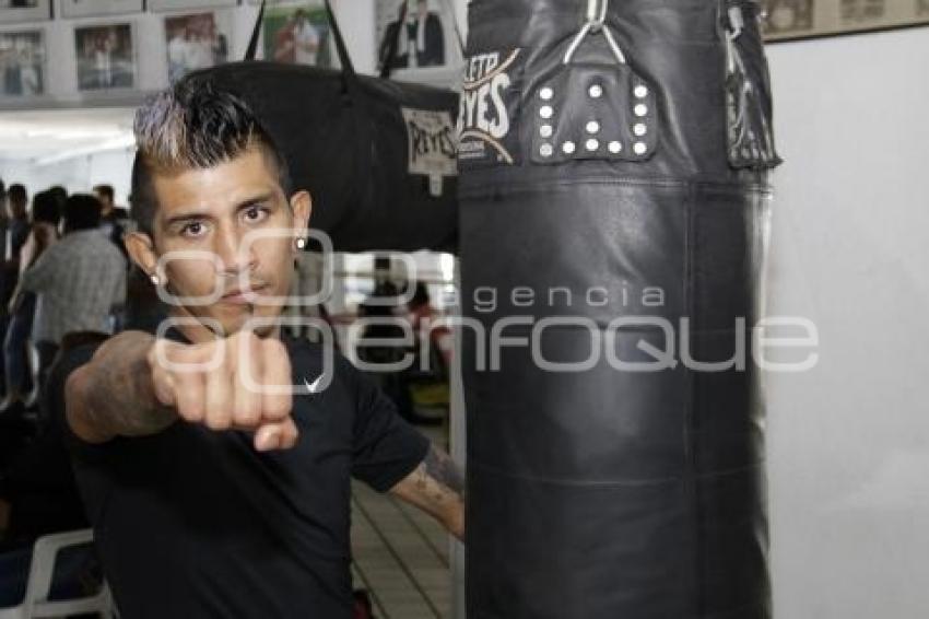 FUNCIÓN DE BOX CASTA DE CAMPEONES