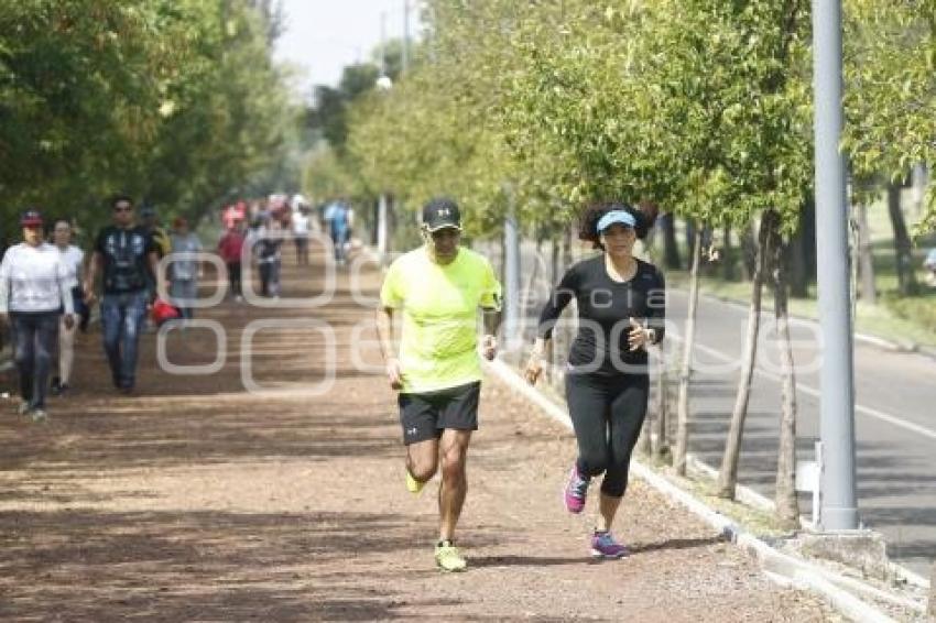 JAVIER LOZANO Y MARIANA GÓMEZ