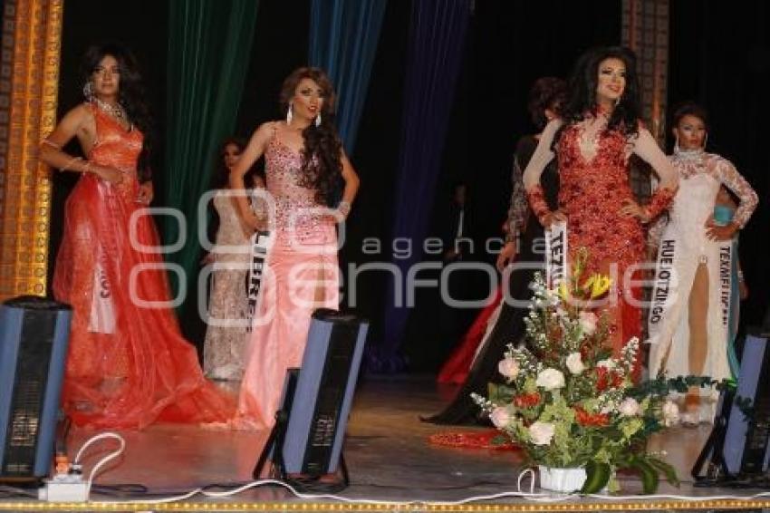 NUESTRA BELLEZA GAY