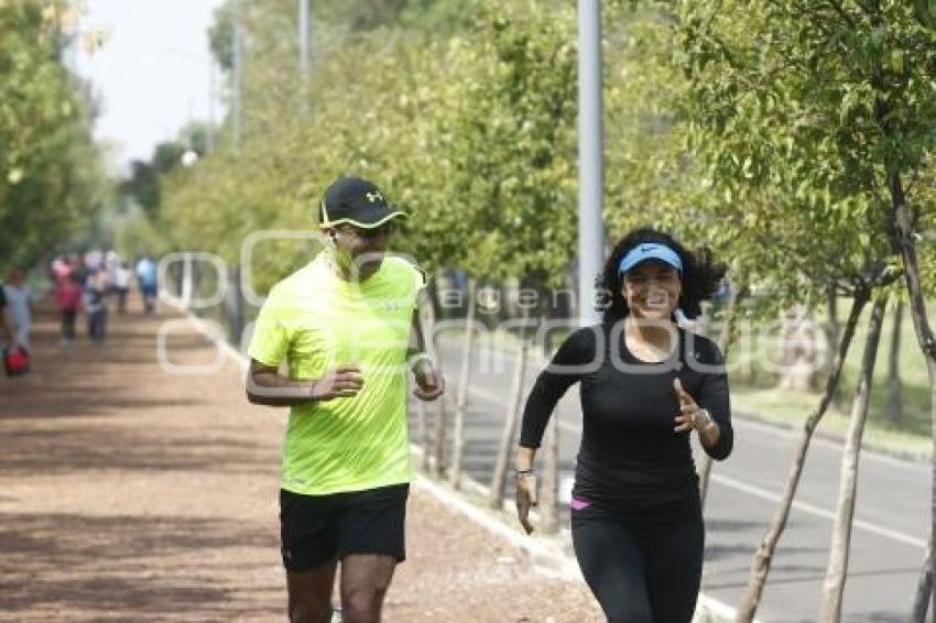 JAVIER LOZANO Y MARIANA GÓMEZ