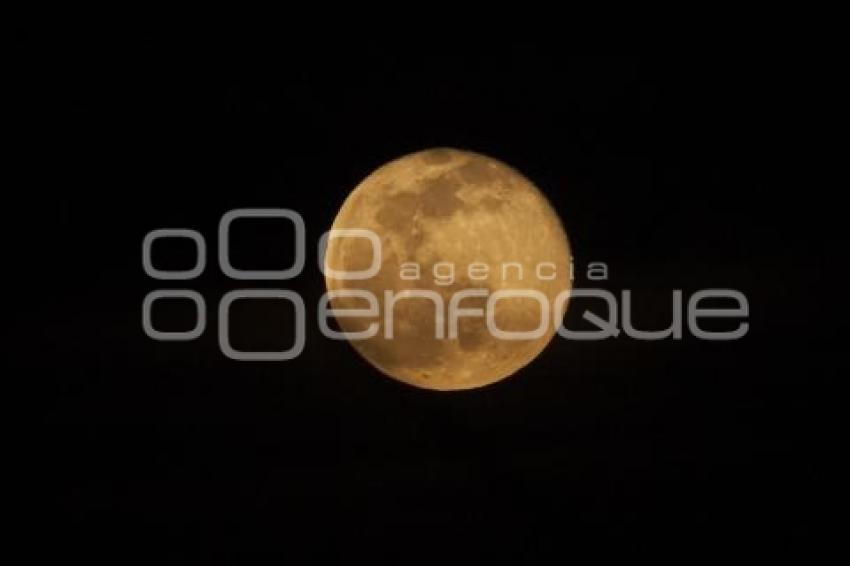 LUNA LLENA