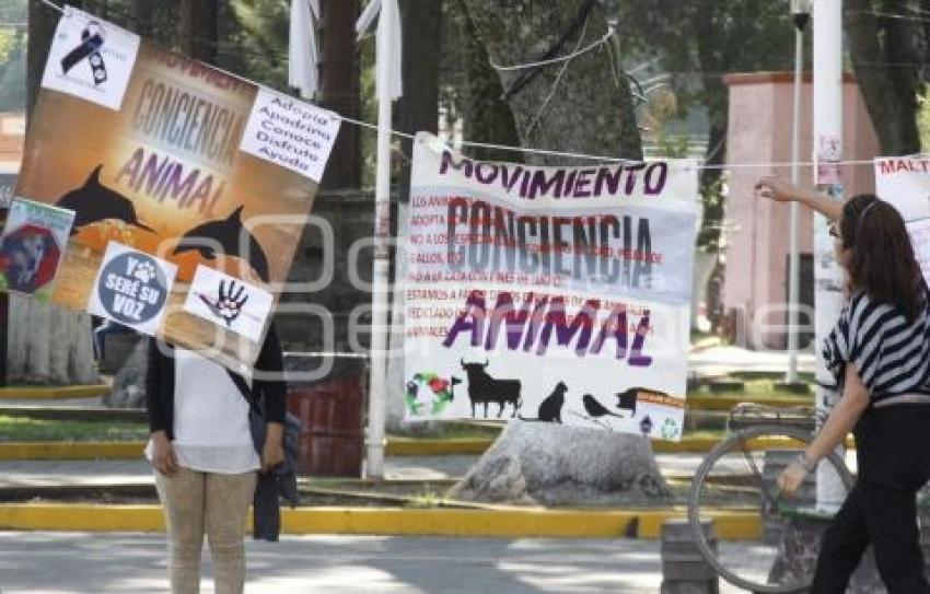 ASOCIACIONES PROTECTORAS DE ANIMALES