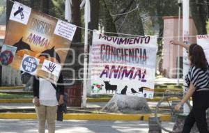 ASOCIACIONES PROTECTORAS DE ANIMALES 