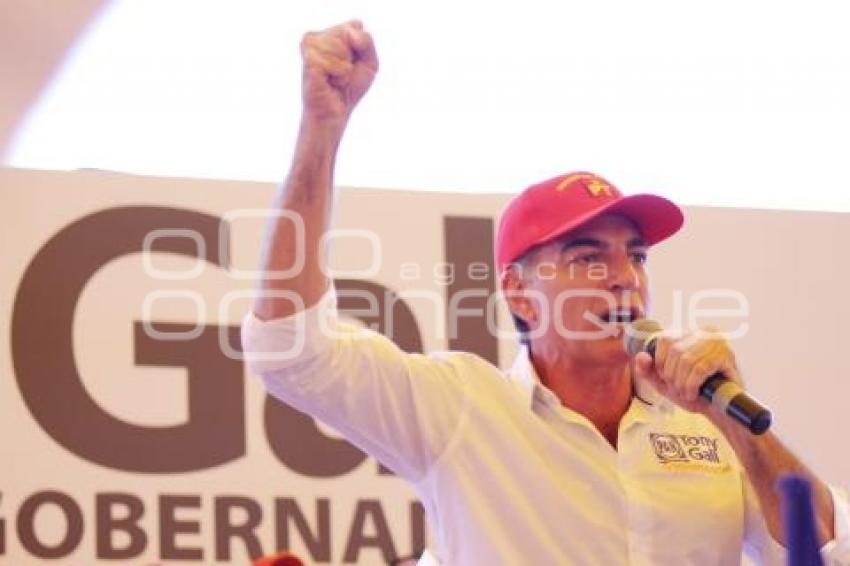 ELECCIONES . TONY GALI