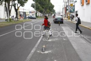 BOLARDOS . CICLOESTACIÓN