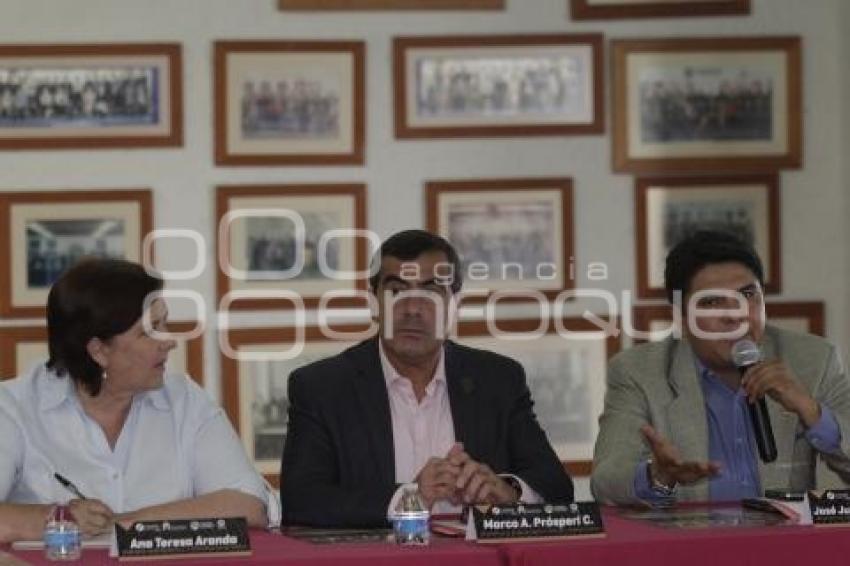 ELECCIONES . ANA TERESA ARANDA