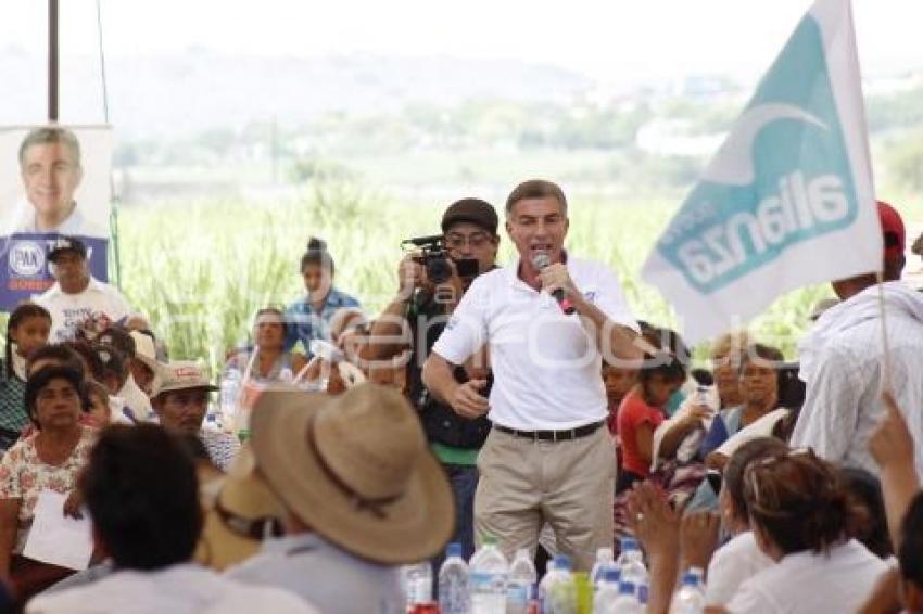 ELECCIONES . TONY GALI