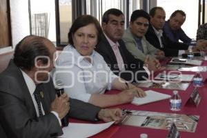 ELECCIONES . ANA TERESA ARANDA