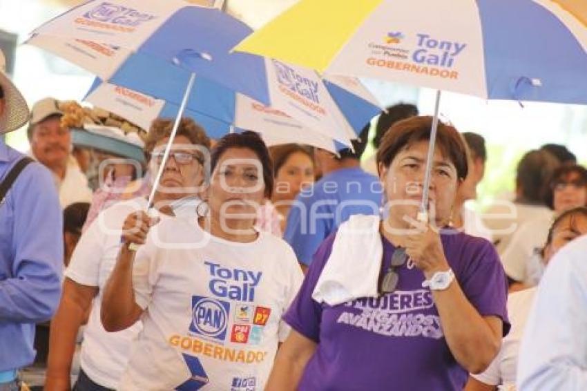 ELECCIONES . TONY GALI