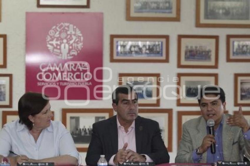 ELECCIONES . ANA TERESA ARANDA