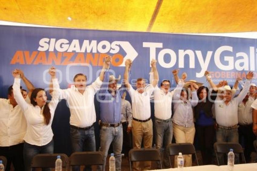 ELECCIONES . TONY GALI