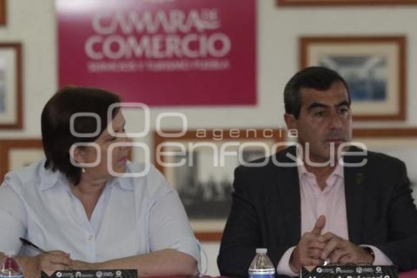 ELECCIONES . ANA TERESA ARANDA
