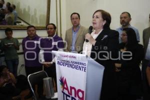 ELECCIONES . ANA TERESA ARANDA