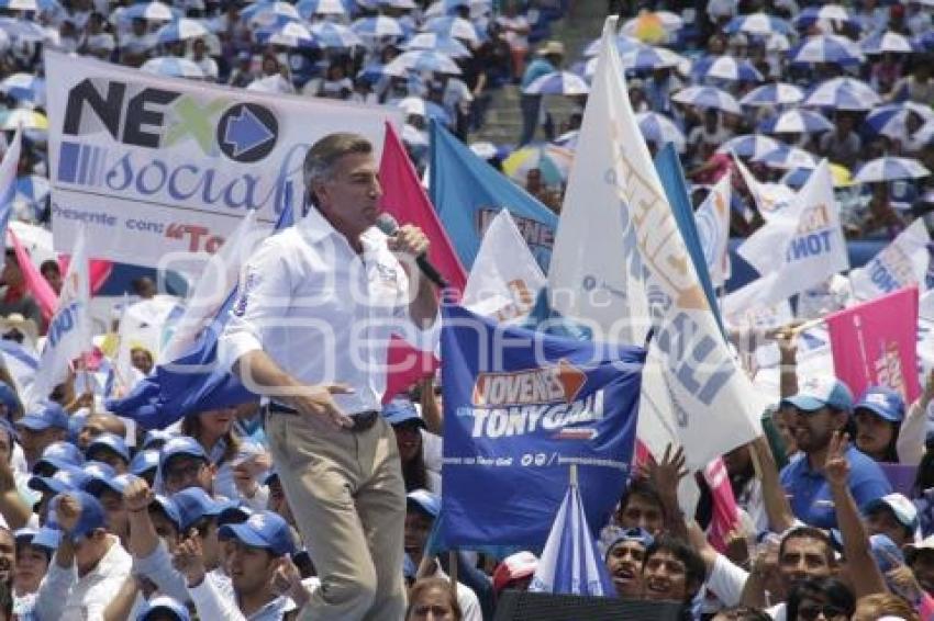 ELECCIONES. TONY GALI. 