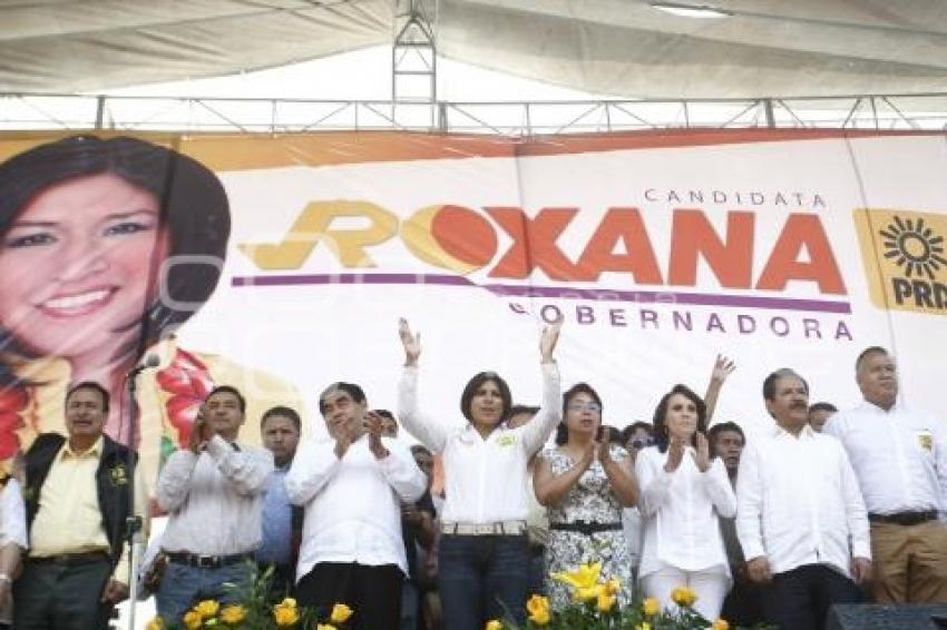 ELECCIONES . ROXANA LUNA