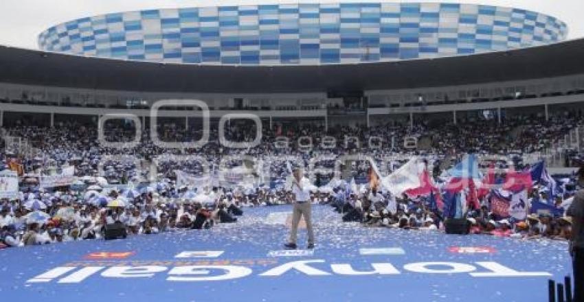 ELECCIONES. TONY GALI.