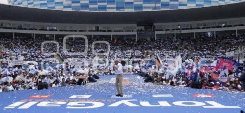 ELECCIONES. TONY GALI.