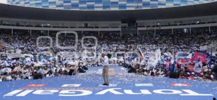 ELECCIONES. TONY GALI. 