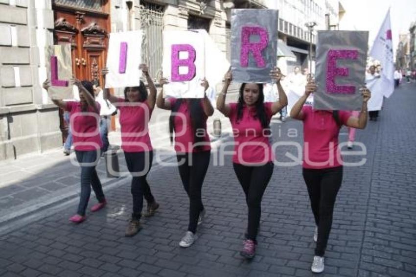 CAMINATA POR LA DEMOCRACIA